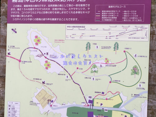 霧島神宮の森散策路案内図