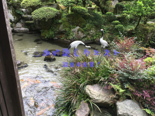 鶴霊泉庭園の池